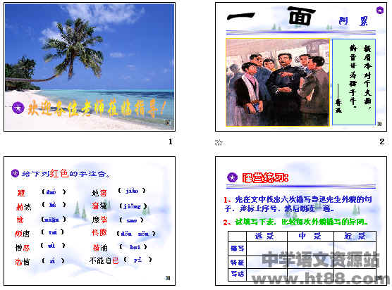 鿴Ԥͼ