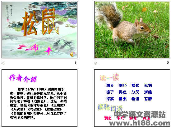 鿴Ԥͼ