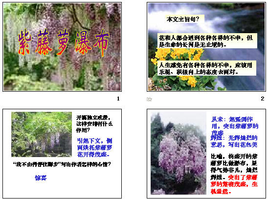 鿴Ԥͼ