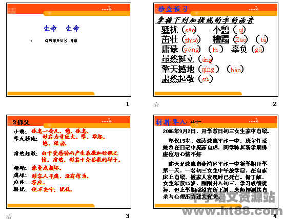 鿴Ԥͼ