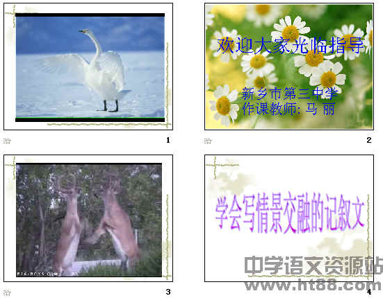 鿴Ԥͼ