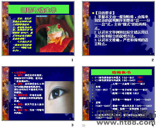 鿴Ԥͼ
