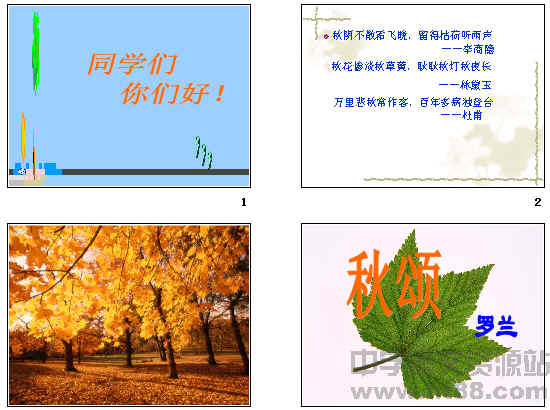 鿴Ԥͼ