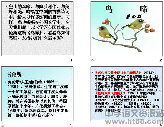 鿴Ԥͼ