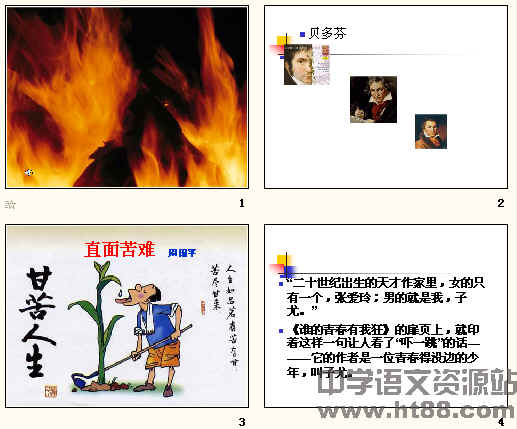 鿴Ԥͼ