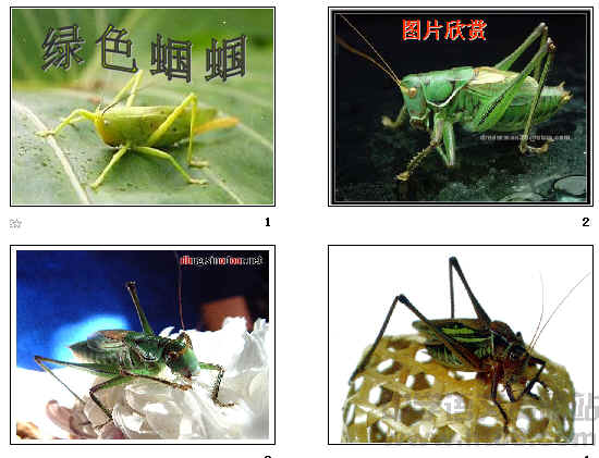 查看预览图