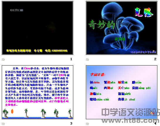鿴Ԥͼ