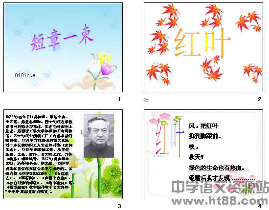 鿴Ԥͼ
