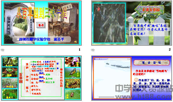 鿴Ԥͼ