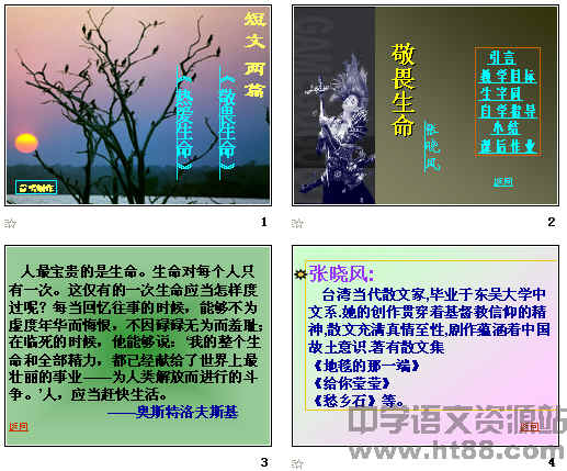 鿴Ԥͼ