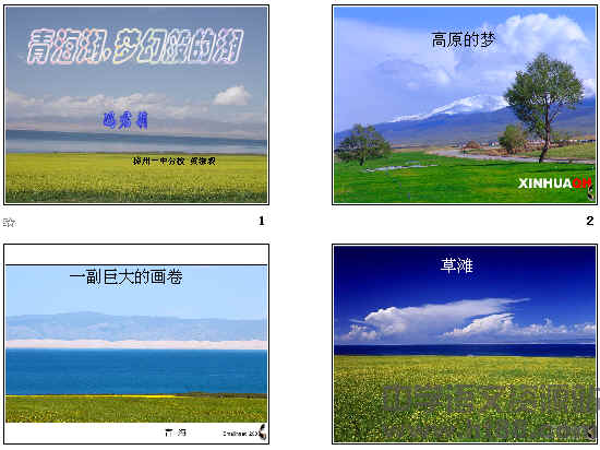 鿴Ԥͼ