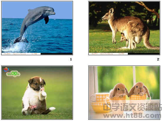 鿴Ԥͼ