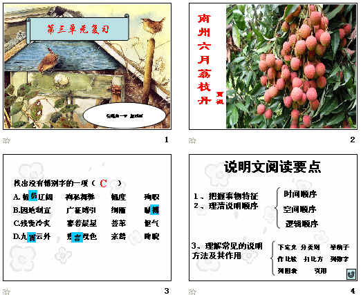 鿴Ԥͼ