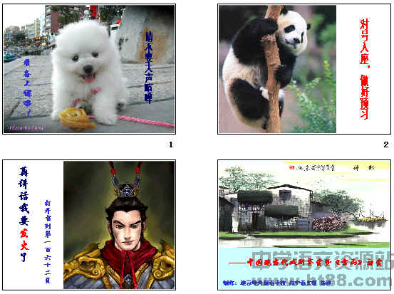 鿴Ԥͼ