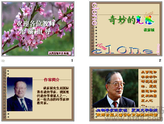 鿴Ԥͼ