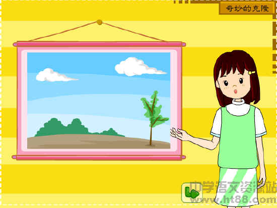 鿴Ԥͼ