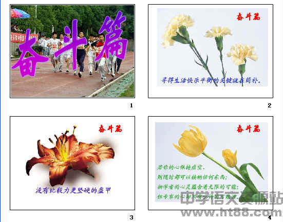 鿴Ԥͼ