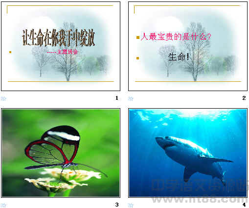 鿴Ԥͼ