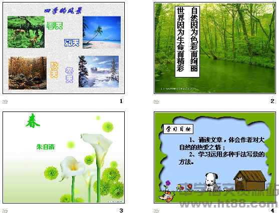 鿴Ԥͼ