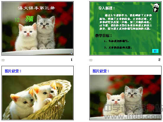 鿴Ԥͼ