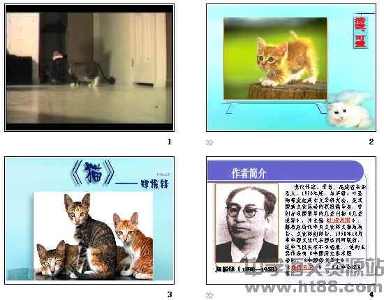 鿴Ԥͼ
