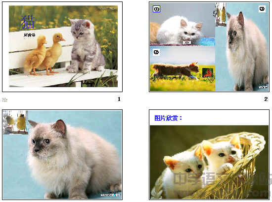 鿴Ԥͼ