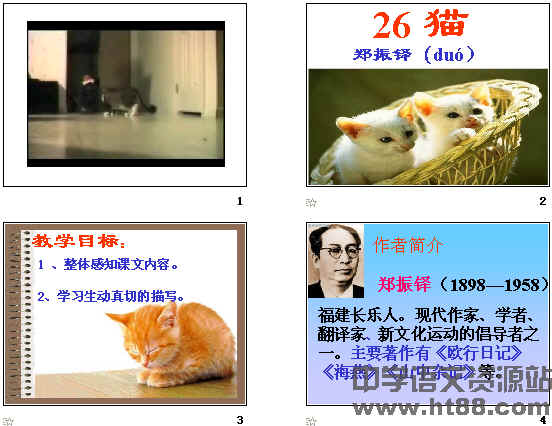 鿴Ԥͼ