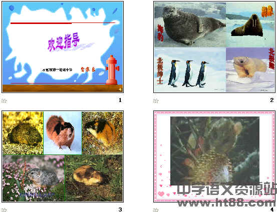 鿴Ԥͼ
