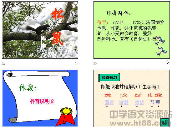 鿴Ԥͼ