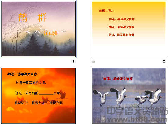 鿴Ԥͼ