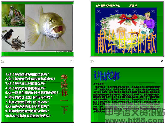 鿴Ԥͼ