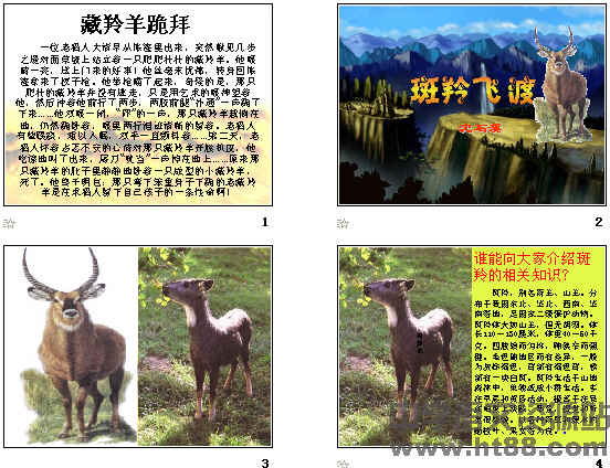 鿴Ԥͼ