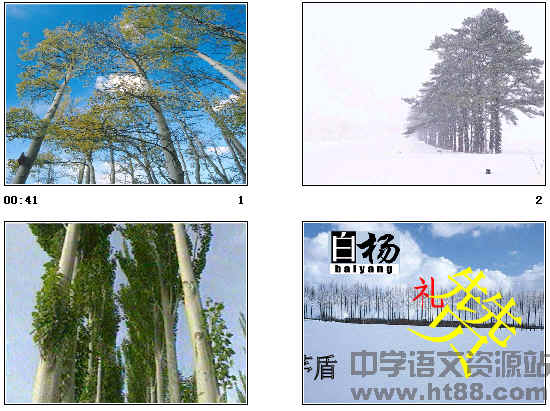 鿴Ԥͼ