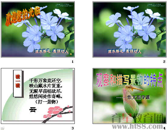 鿴Ԥͼ