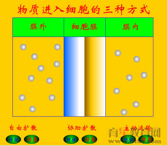 �鿴Ԥ��ͼ