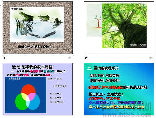 �鿴Ԥ��ͼ