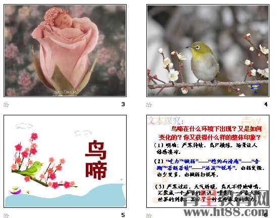 鿴Ԥͼ