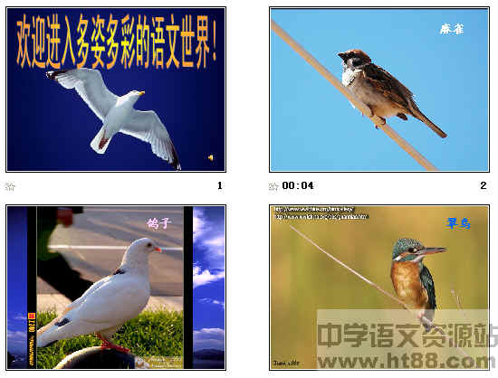 鿴Ԥͼ