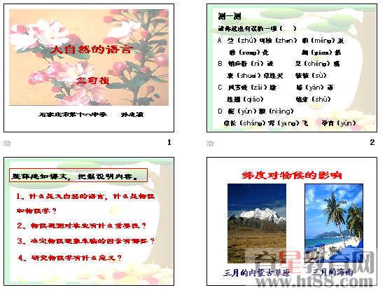 鿴Ԥͼ