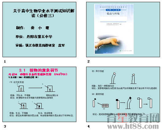 �鿴Ԥ��ͼ