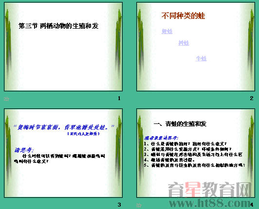 �鿴Ԥ��ͼ