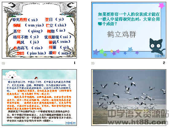 鿴Ԥͼ