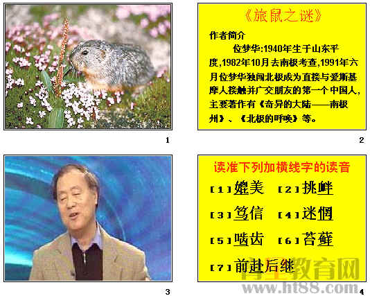鿴Ԥͼ