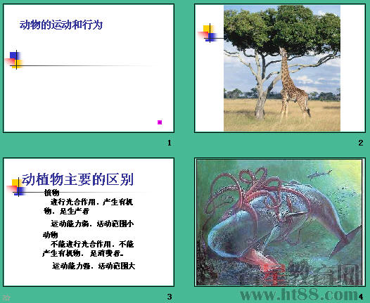 �鿴Ԥ��ͼ