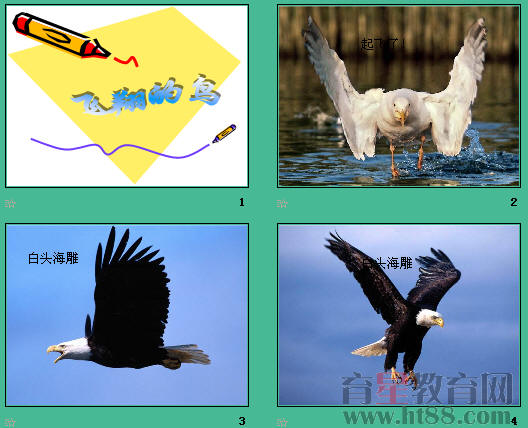 �鿴Ԥ��ͼ