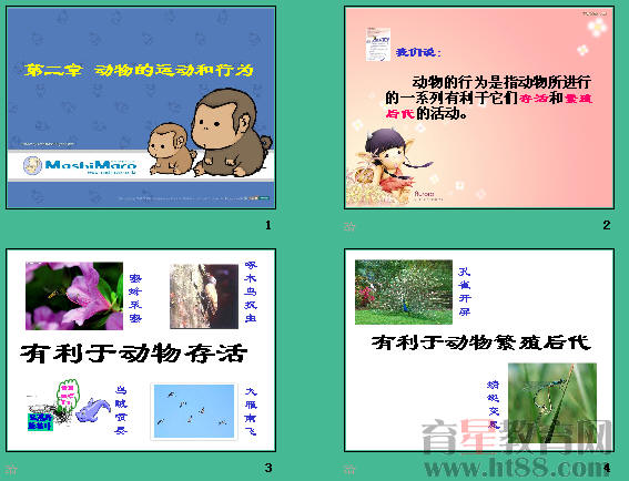 �鿴Ԥ��ͼ