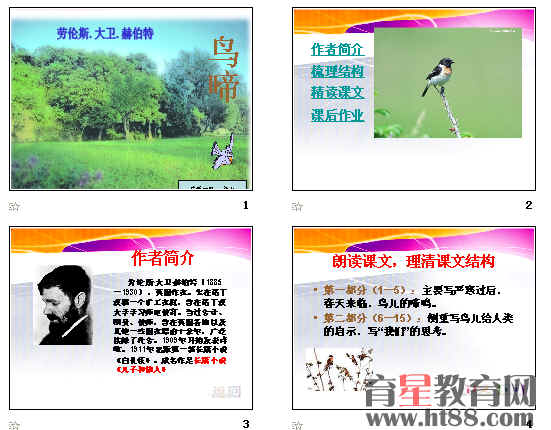 鿴Ԥͼ
