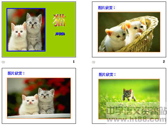鿴Ԥͼ