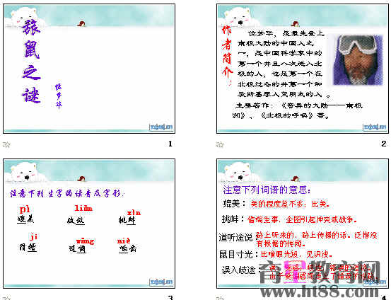鿴Ԥͼ