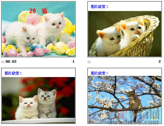 鿴Ԥͼ